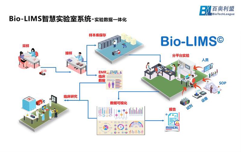 如何避免常见的电脑故障？从硬件到软件，一招教你搞定！